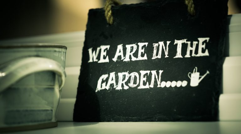 5 IDEAL TIPS TO KEEP YOUR GARDEN AT ITS BEST