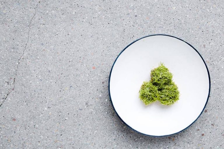 RESTAURANT REVIEW: 108, COPENHAGEN – THE IDEAL PLACE FOR NEW, NEW-NORDIC