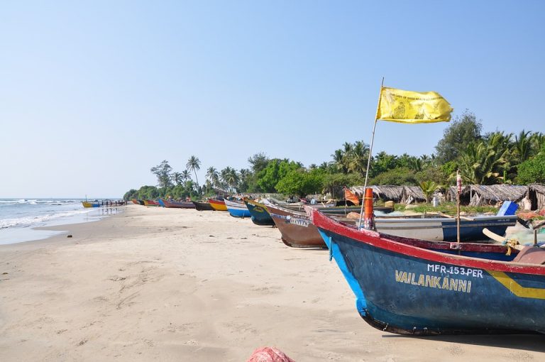 8 IDEAL REASONS TO VISIT GOA