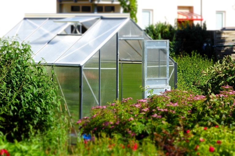 THE IDEAL GUIDE TO BUILDING A GREENHOUSE: PLASTIC VS GLASS