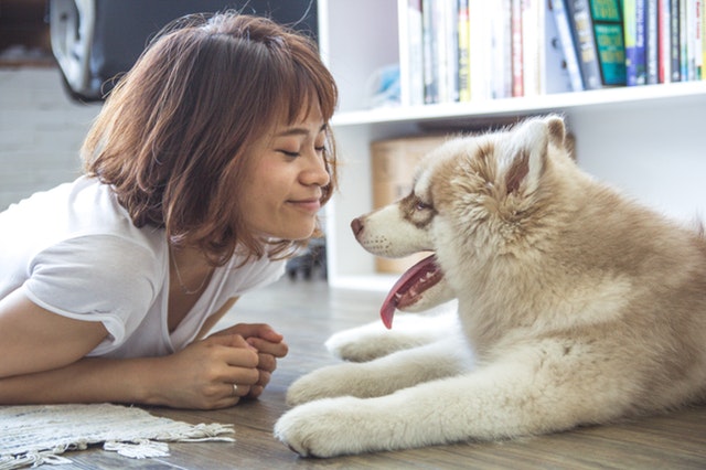 21 IDEAL REASONS WHY PETS ARE OUR BEST FRIENDS