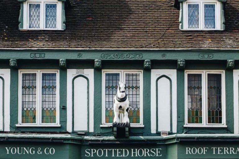 RESTAURANT REVIEW: THE SPOTTED HORSE, PUTNEY – THE IDEAL PLACE FOR A DAMN FINE G&T