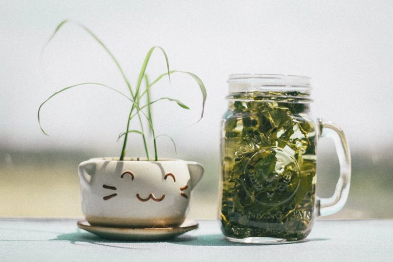 5 IDEAL HERBS THAT CAN MAKE YOU HAPPY