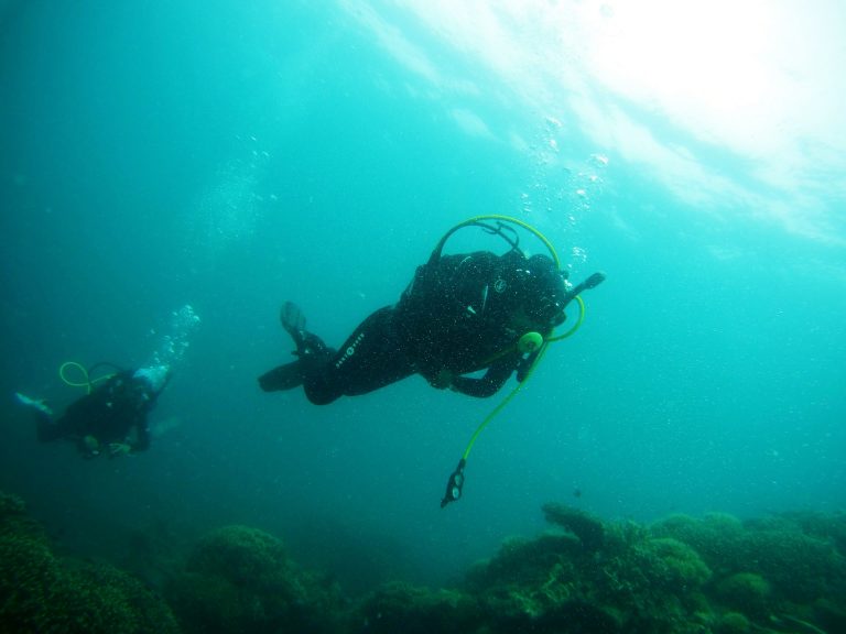 5 IDEAL REASONS TO GO DIVING & EXPLORE THE WORLD’S OCEANS