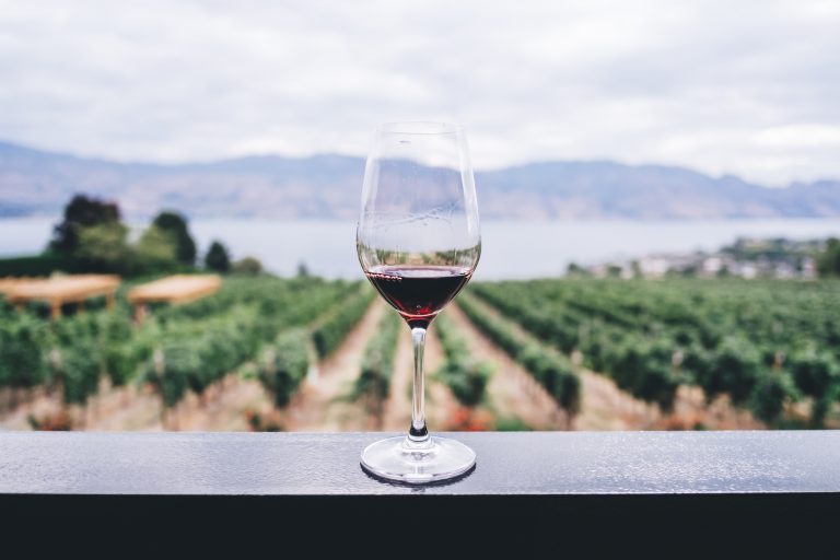 THE IDEAL GUIDE TO WINE MAKING