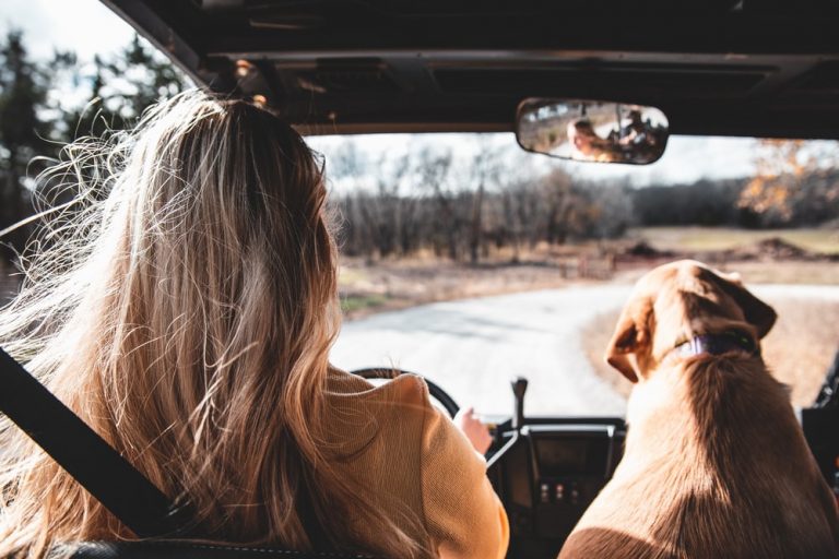 5 IDEAL THINGS TO CHECK IN YOUR CAR BEFORE A ROAD TRIP