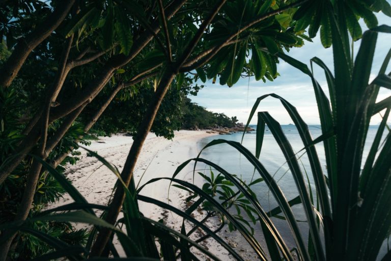 5 IDEAL HOSTELS IN KOH PHANGAN, THAILAND