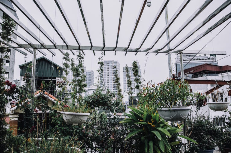5 IDEAL WAYS TO TRANSFORM YOUR SMALL CITY GARDEN