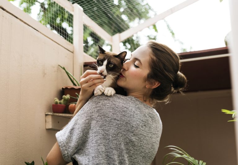 4 IDEAL THINGS TO CONSIDER BEFORE CHOOSING A PET FOR YOUR FAMILY HOME