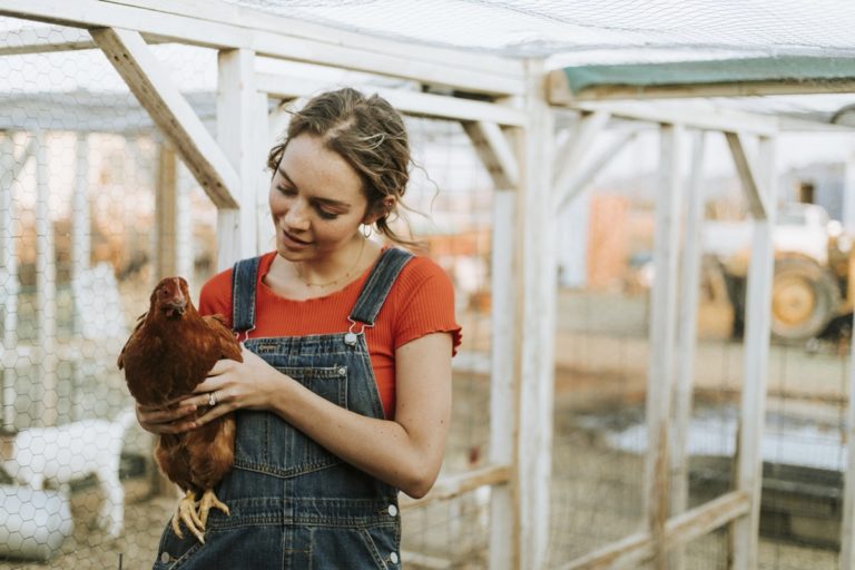 5 IDEAL WAYS TO SUPPORT AGRICULTURE IN BRITAIN 