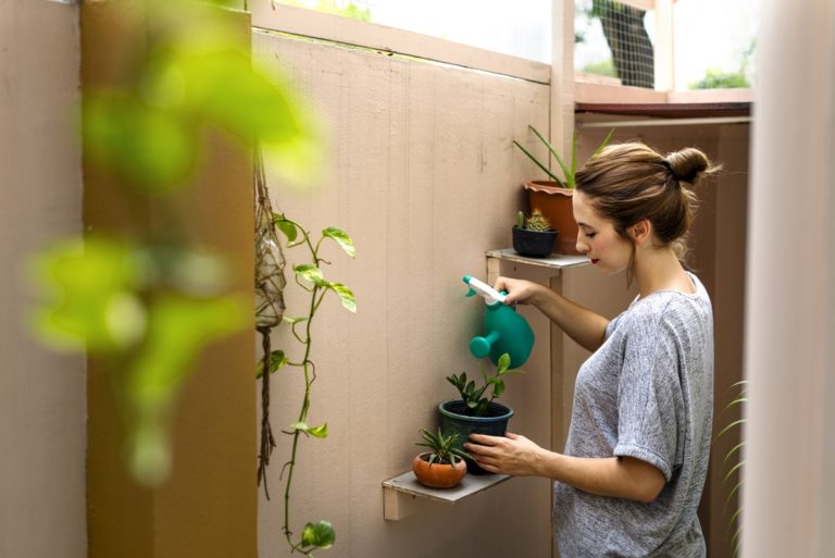 5 IDEAL BEGINNER TIPS FOR LOOKING AFTER YOUR HOUSE PLANTS 