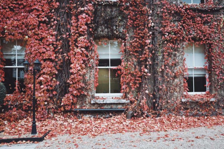 7 Home Maintenance Checks To Help You Get Ready For Autumn