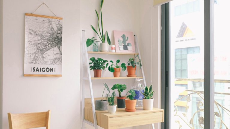 5 IDEAL WAYS TO BREATHE LIFE INTO YOUR NEW HOME