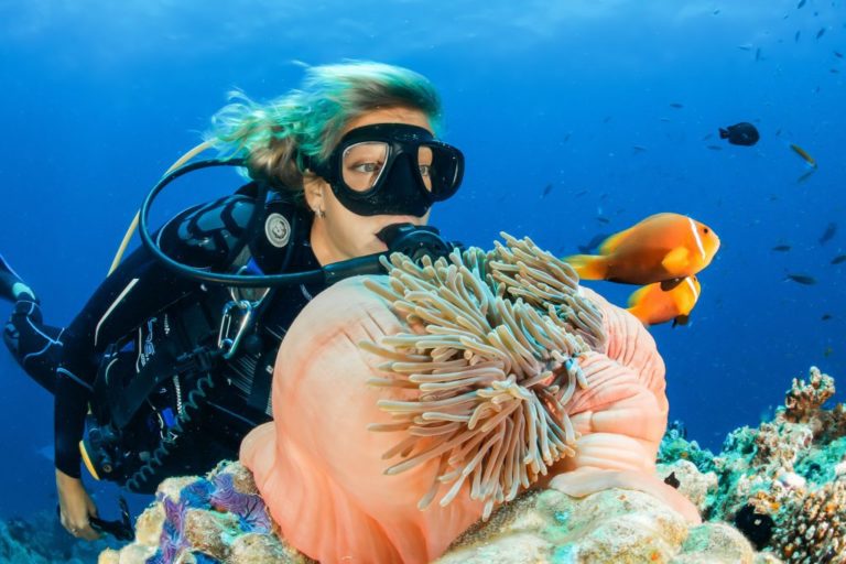 5 IDEAL PLACES TO SCUBA DIVE IN AUSTRALIA