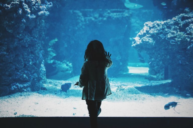 7 IDEAL ACTIVITIES IN LONDON FOR KIDS OF ALL AGES