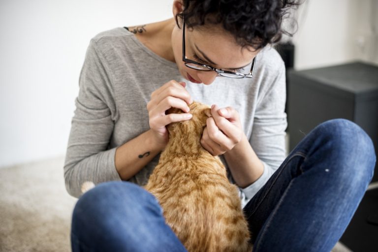 5 IDEAL ALTERNATIVE TREATMENTS & TOOLS FOR YOUR FURRY FRIENDS