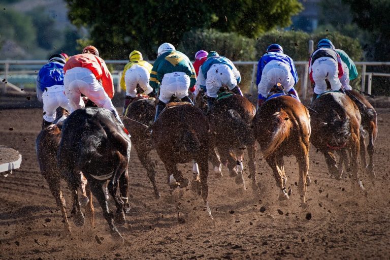 7 Of The Best Places For Boxing Day Racing In The UK