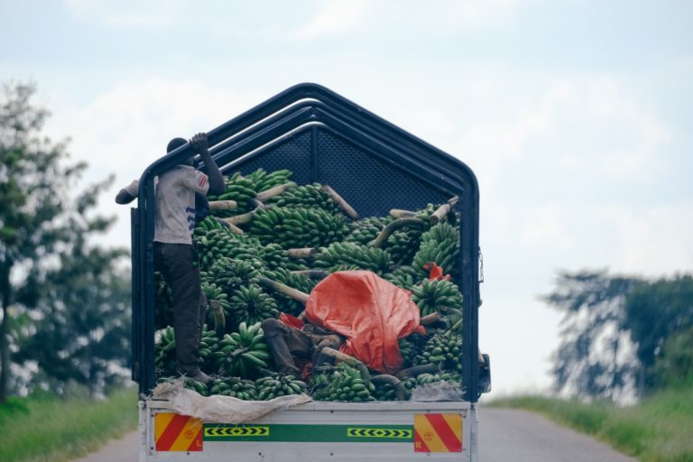 Not Just Safari: 11 Places To Visit On Your 2024 Holiday To Uganda