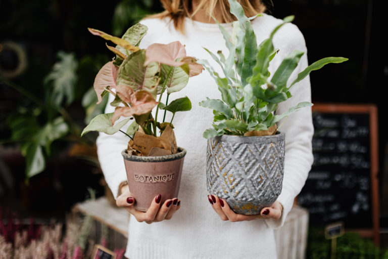 7 IDEAL WAYS TO BRING NATURE INTO YOUR HOME 