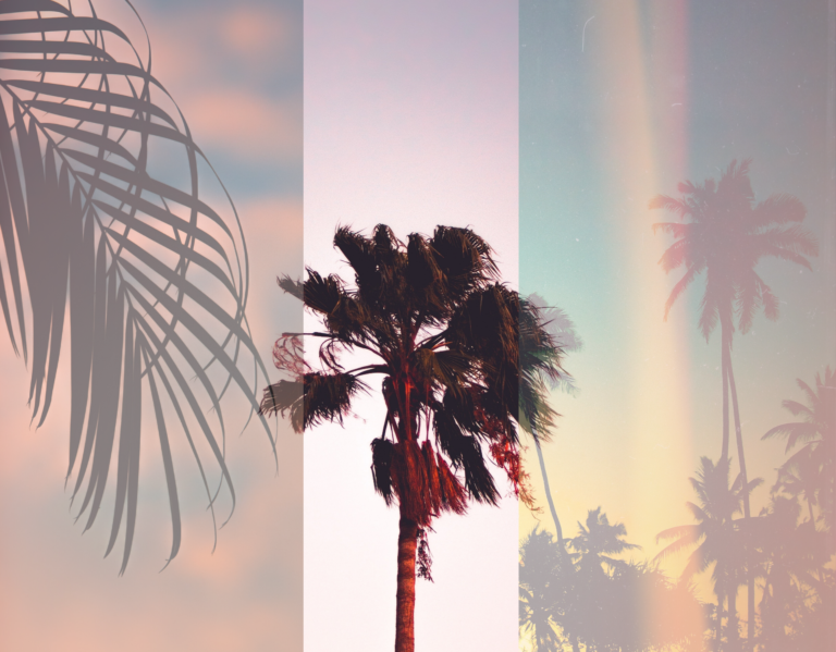 12 BRILLIANT WAYS TO VIRTUALLY EXPLORE FLORIDA RIGHT NOW