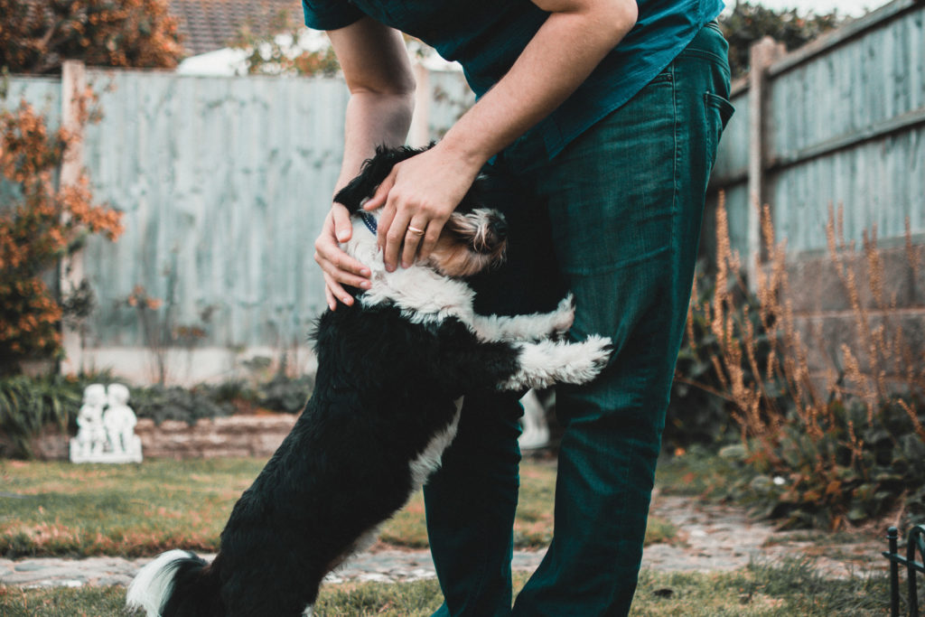 CARING FOR YOUR PET DURING LOCKDOWN