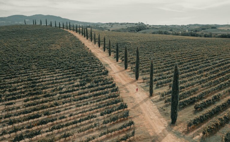 AN IDEAL WINE TOUR OF TUSCANY