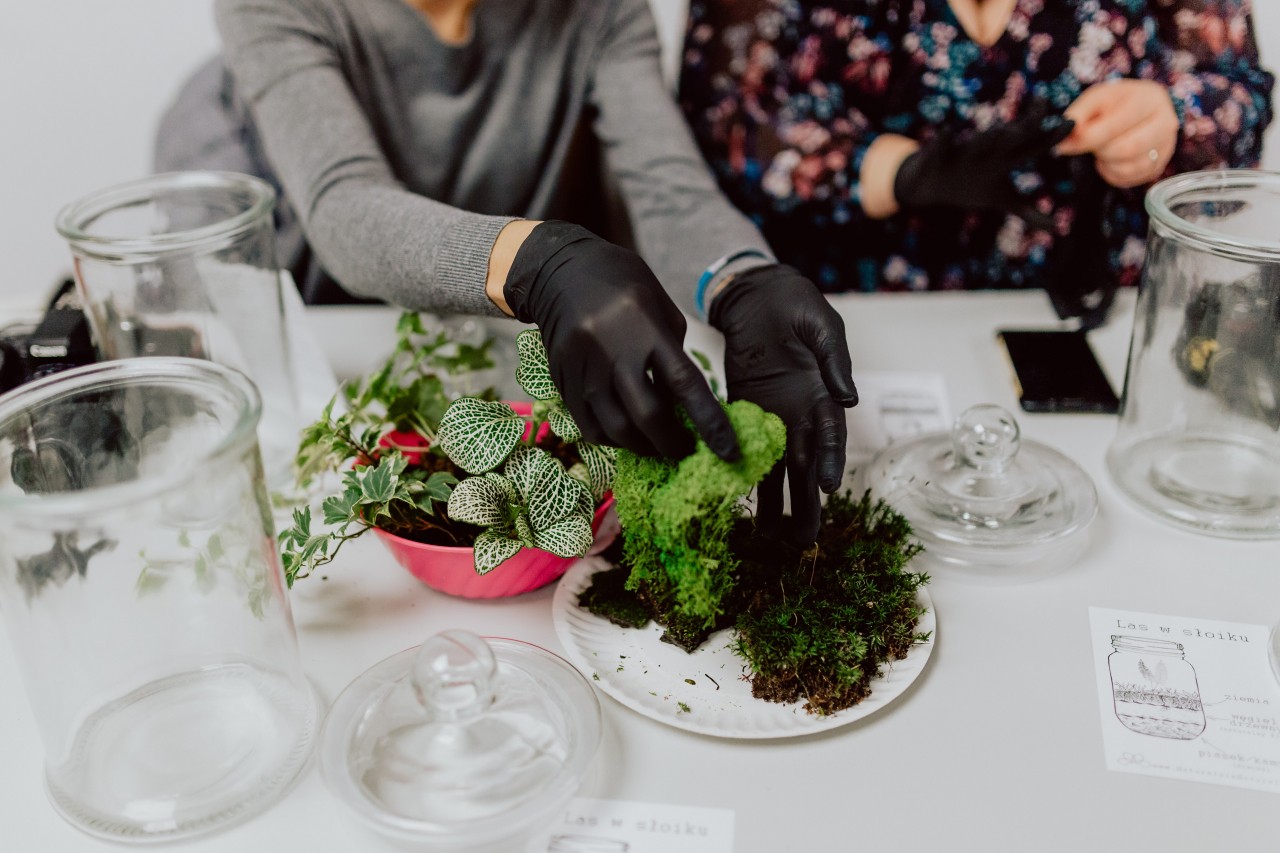 kaboompics_BuildingRainforestTerrariuminaJar Ideal Magazine