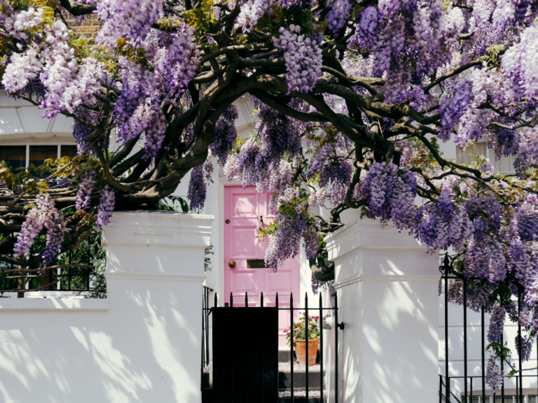 7 Tried & Tested Ways To Improve Your Home’s Kerb Appeal