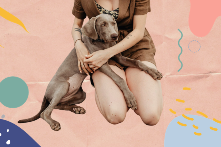 4 IMPORTANT VITAMINS TO GIVE YOUR PETS AND WHY THEY SHOULD TAKE THEM