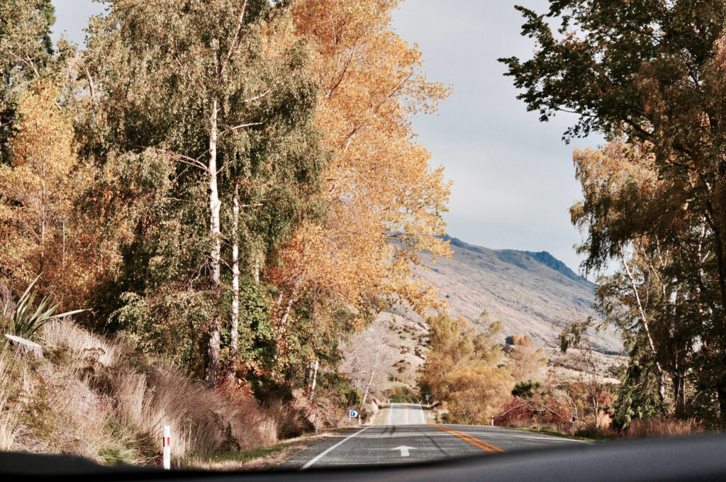 IS YOUR CAR READY FOR ITS NEXT ROAD TRIP