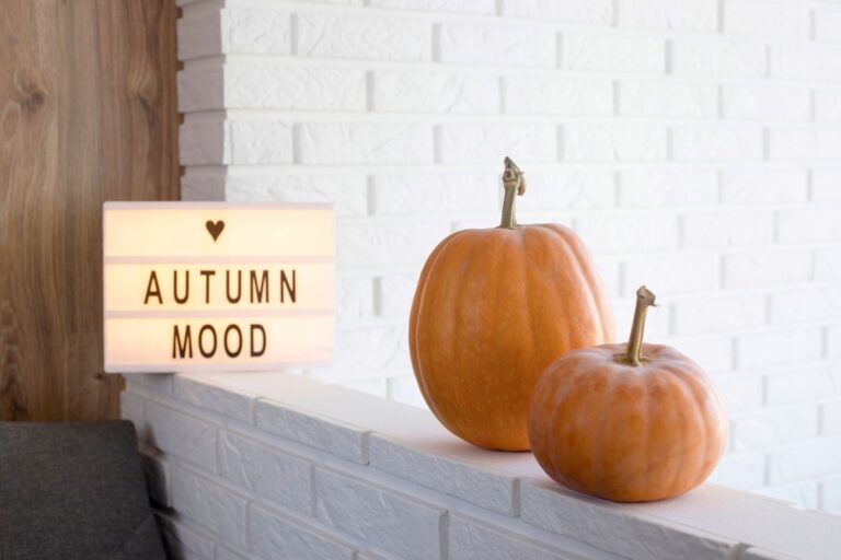 How To Make The Most Of Your Garden In Autumn