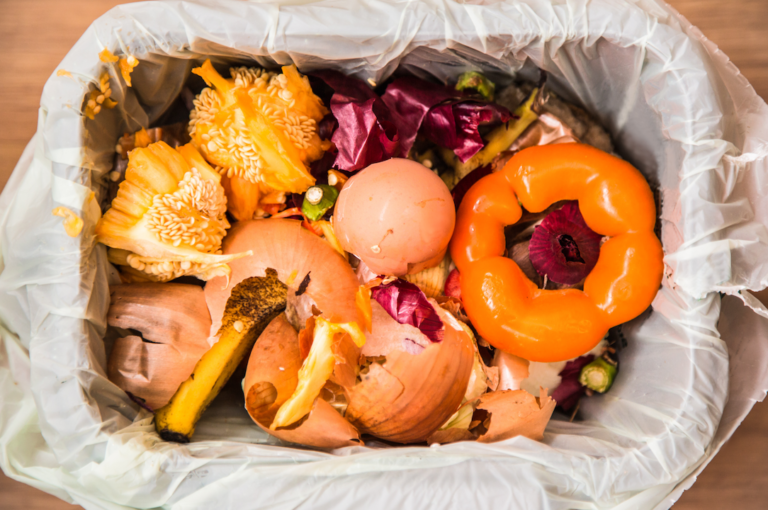 8 Reasons Why You Should Start Composting Your Waste Today