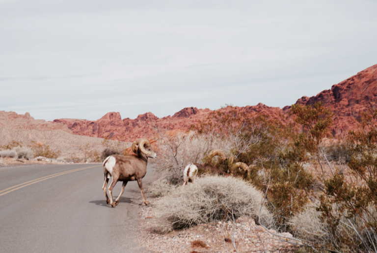 6 IDEAL TIPS FOR PLANNING YOUR OWN PHOTOGRAPHY TOUR