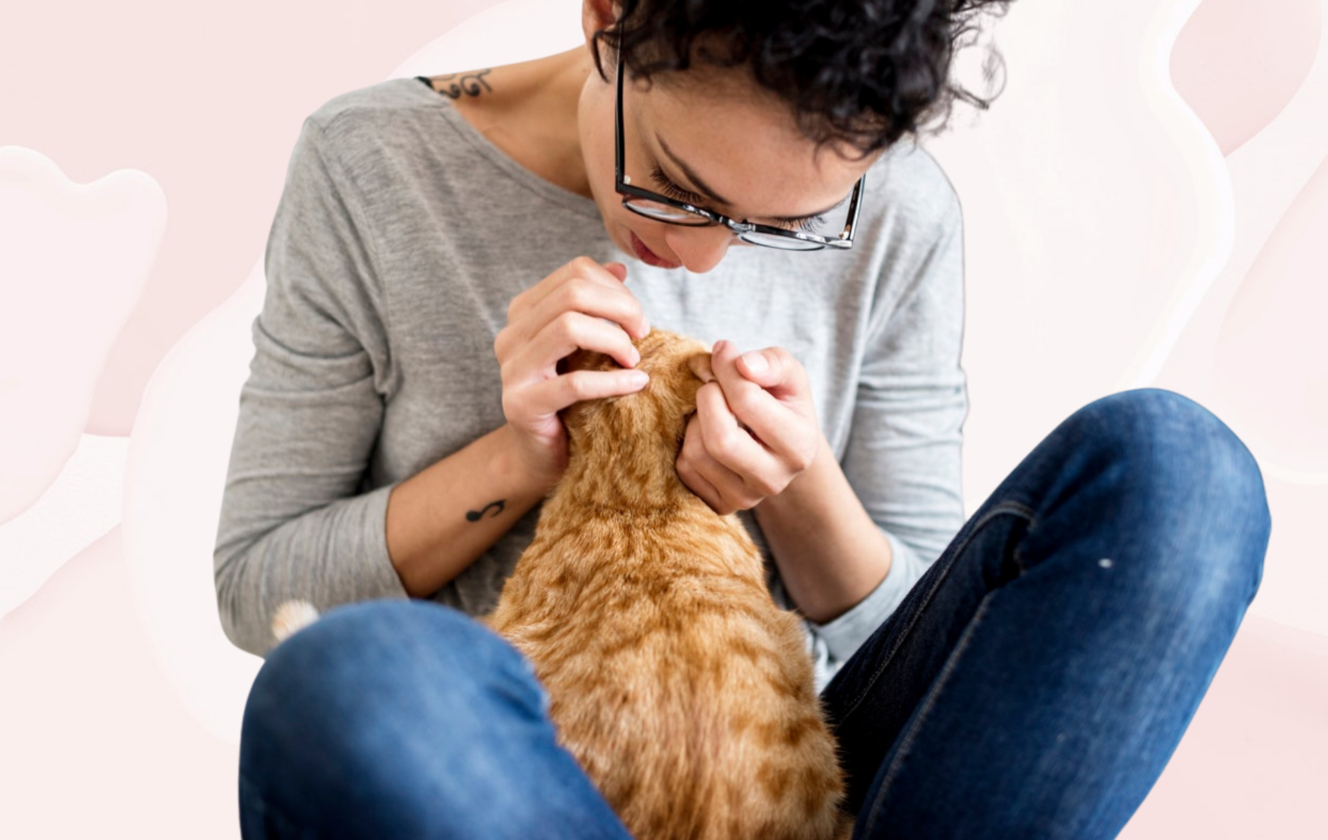 5 TIPS ON HOW TO LOOK AFTER YOUR CAT DURING LOCKDOWN Ideal Magazine