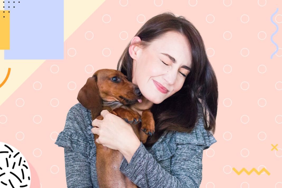 10 REASONS WHY DOGS ARE GREAT COMPANIONS Ideal Magazine