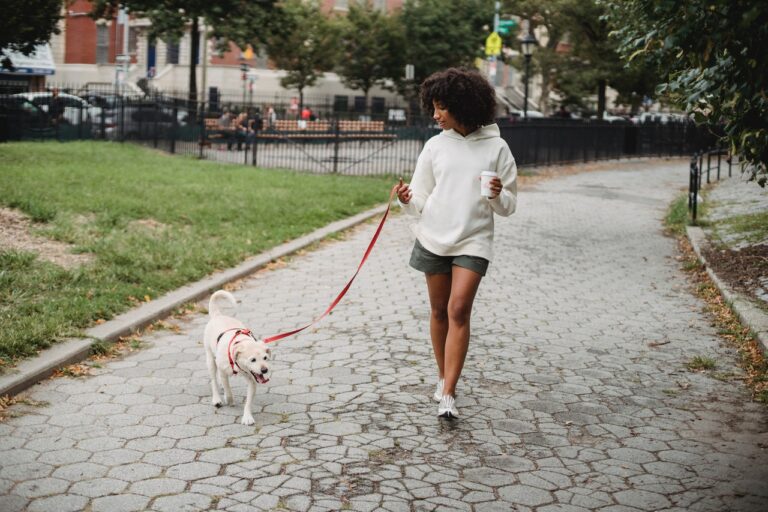 5 TIPS FOR FALLING BACK IN LOVE WITH DOG WALKING