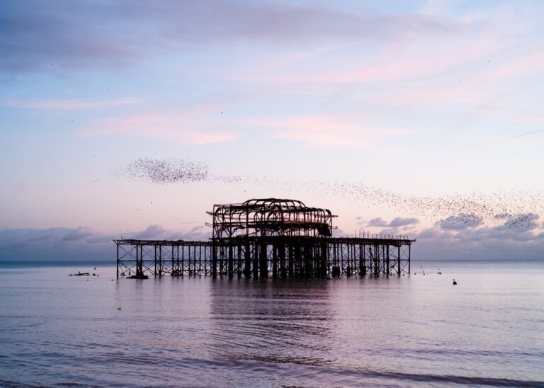 6 ALTERNATIVE THINGS TO DO IN BRIGHTON & HOVE