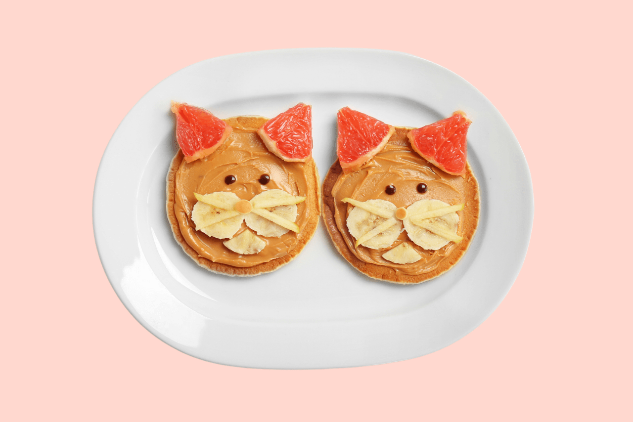 catpancake Ideal Magazine
