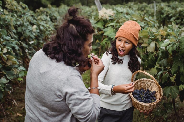 7 Group Activity Ideas, Ideal For Looking After The Wellness Of Your Family