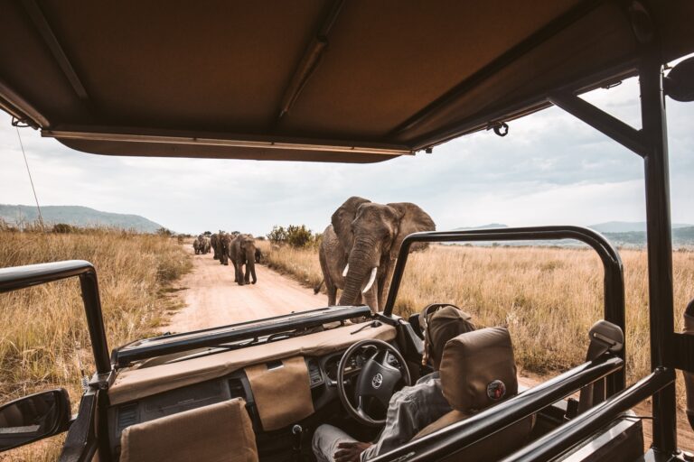 4 EXPERIENCES YOU SHOULDN’T MISS ON A SELF-DRIVE TOUR OF UGANDA