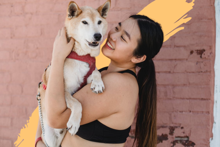 HOW TO ENSURE TAKING YOUR DOG ON HOLIDAY IS A PLEASURE NOT A CHORE