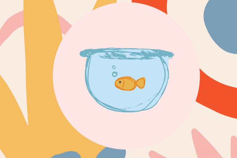 HOW TO ENSURE YOUR PET FISH IS HAPPY & HEALTHY IN 6 STEPS