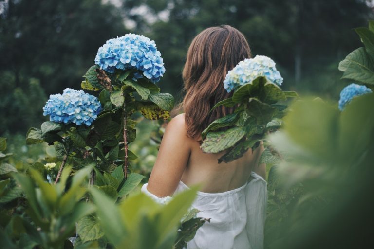 6 PLANTS YOU NEED TO HAVE IN YOUR GARDEN THIS SUMMER