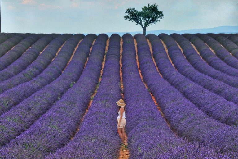 6 OF THE BEST PLACES TO VISIT IN PROVENCE, FRANCE