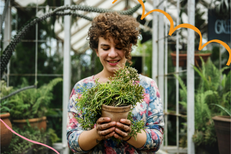 A NEWBIE GARDENER’S GUIDE TO THE BEST GREENHOUSES