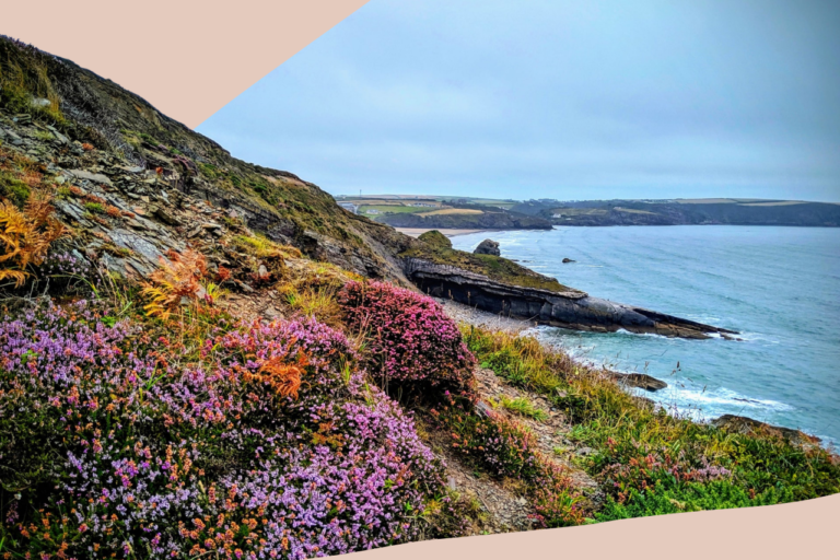 5 Spring Staycation Ideas For The Family In 2024