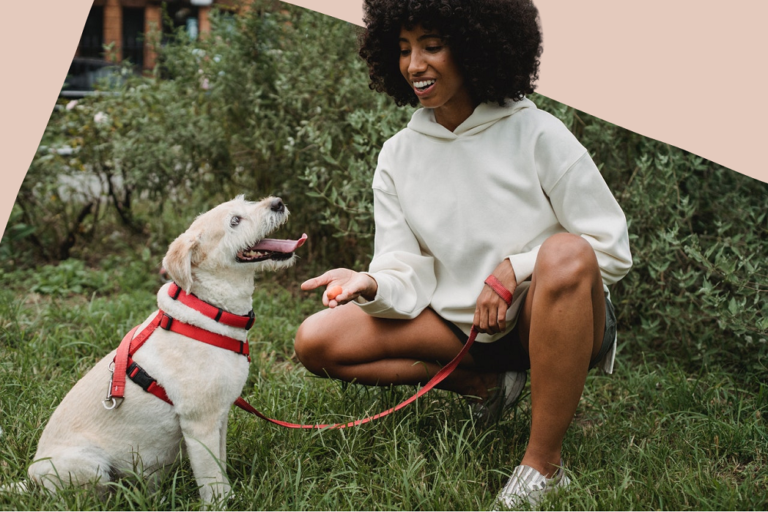 Why Is Puppy Training So Important?