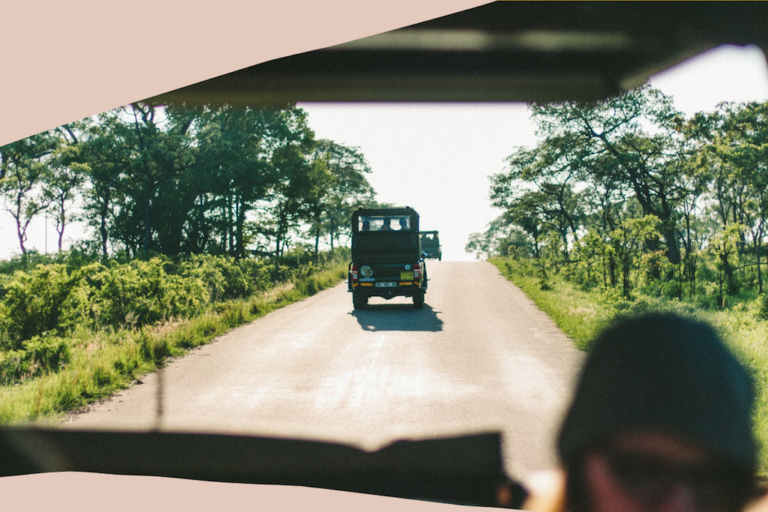 5 OF THE BEST DESTINATIONS IN AFRICA FOR WILDLIFE VOLUNTEERING