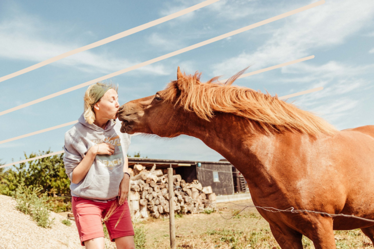 Essential Tips For Maintaining Your Horse’s Health & Happiness