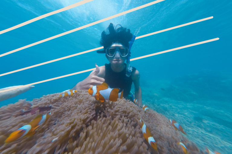 6 Of The Best Places In The World For A Scuba Diving Holiday